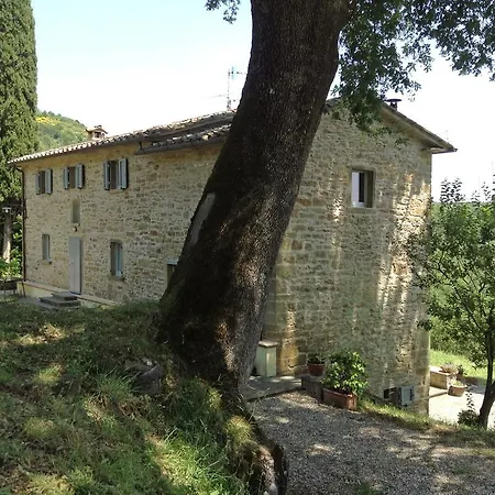 Guest house La Doccia 2*