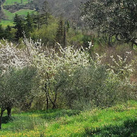 La Doccia Anghiari